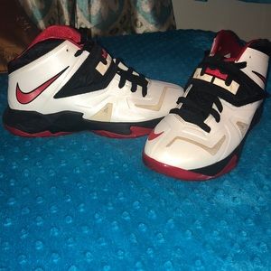 Lebron James Zoom Soldier VII